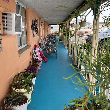Michaels Siesta Motel St. Petersburg Extérieur photo