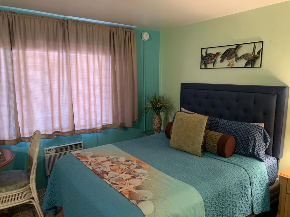 Michaels Siesta Motel St. Petersburg Extérieur photo