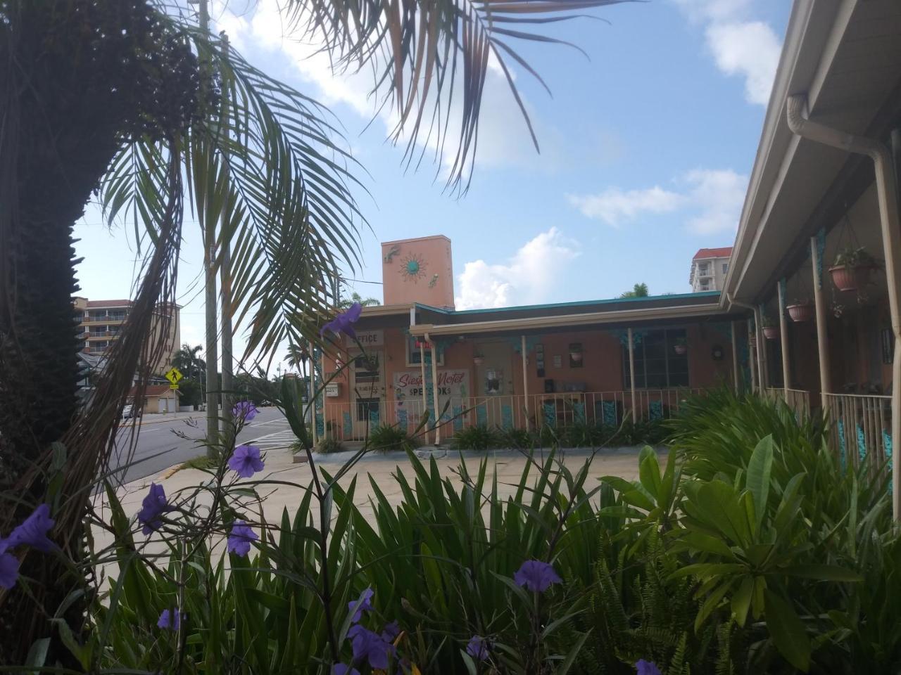 Michaels Siesta Motel St. Petersburg Extérieur photo